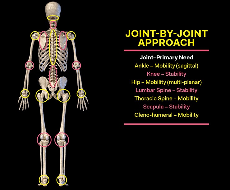 Body Alignment 8