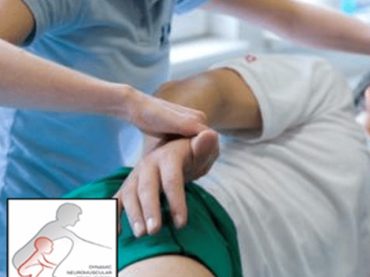 Dynamic Neuromuscular Stabilization (DNS) Treatment