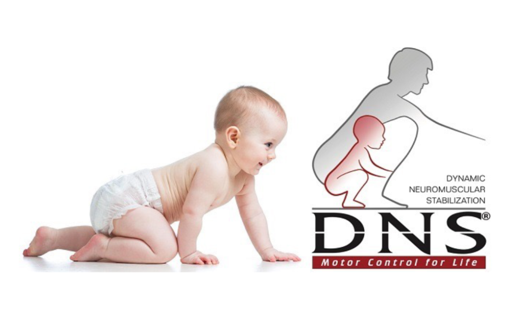 Dynamic Neuromuscular Stabilization (DNS) Treatment 1 Dynamic Neuromuscular Stabilization Korehab Blog